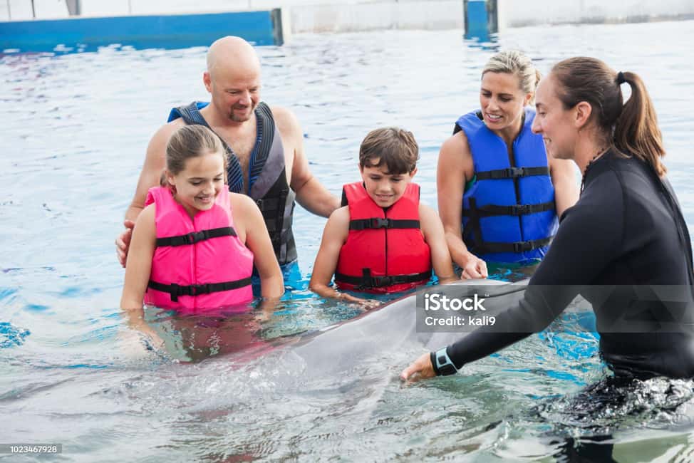 Punta Cana: Dolphin Explorer Park Entry, Swim, or Encounter - Sea lion and bird shows plus Pirate Island time