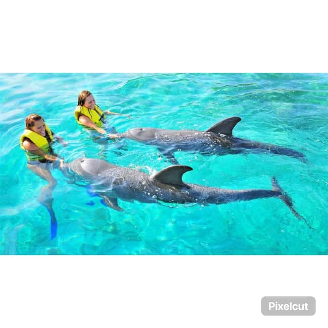 Punta Cana: Dolphin Explorer Park Entry, Swim, or Encounter - Getting there smoothly: pickup that varies by where you stay