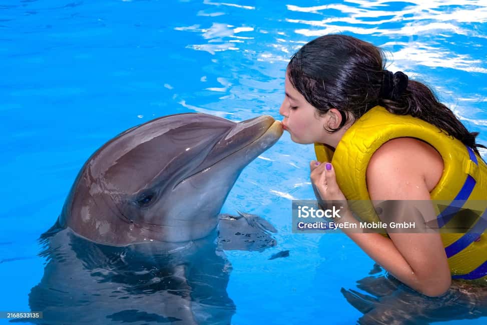 Punta Cana: Dolphin Explorer Park Entry, Swim, or Encounter - Price vs. value: $140, photo costs, and on-site upgrades