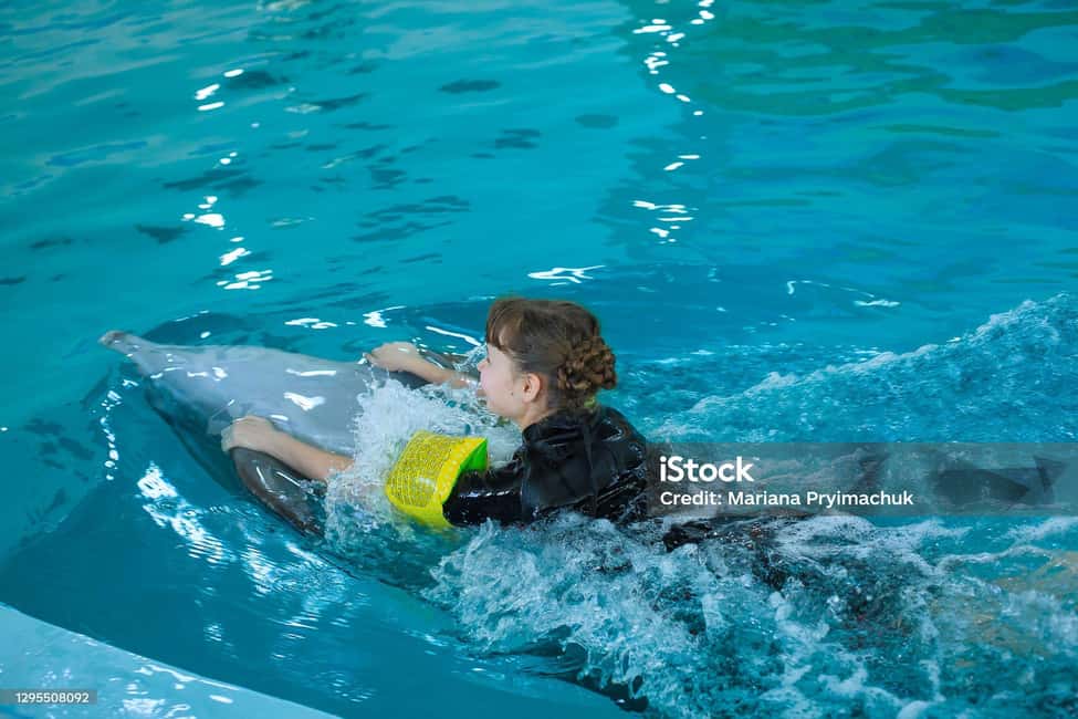 Punta Cana: Dolphin Explorer Park Entry, Swim, or Encounter - Who this Punta Cana dolphin program is best for