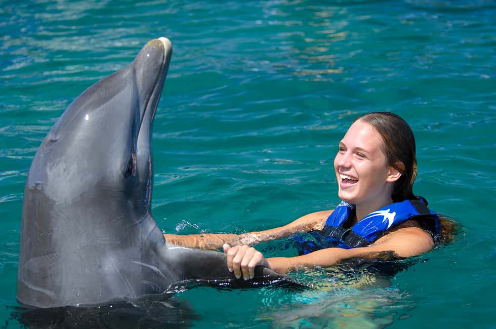 Punta Cana: Dolphin Explorer Swims and Interactions - Quick Picks: Dolphin Explorer Highlights Worth Knowing