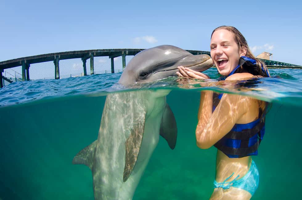Punta Cana: Dolphin Explorer Swims and Interactions - Your Dolphin Time: What the Water Session Feels Like