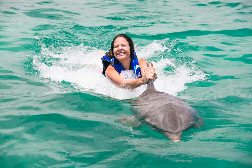 Punta Cana: Dolphin Explorer Swims and Interactions - Conservation + Interaction: When It Feels Worth It