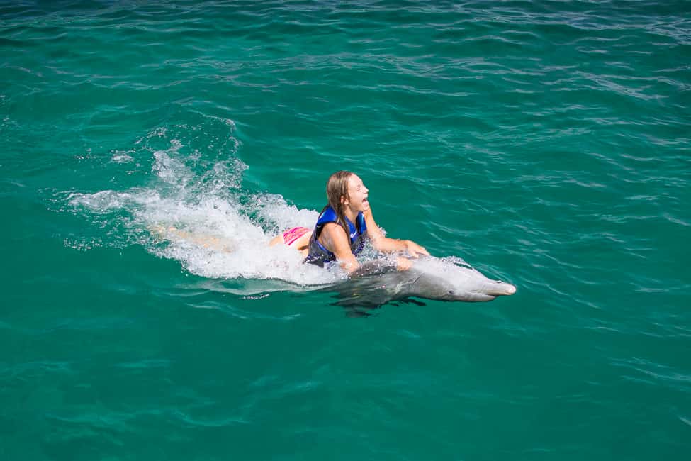Punta Cana: Dolphin Explorer Swims and Interactions - Value Check: Is $120 Worth It?