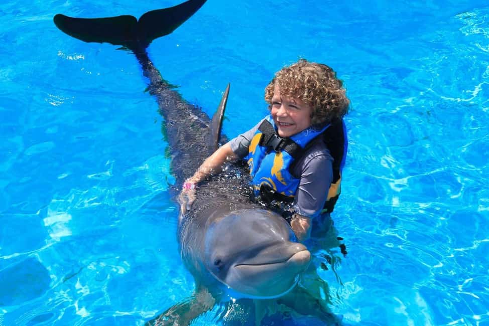 Punta Cana: Dolphin Interaction Experience & Hotel Transfers - Key Things To Know Before You Go