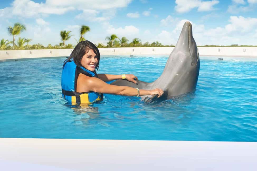 Punta Cana: Dolphin Interaction Experience & Hotel Transfers - The 4-Hour Plan That Keeps Punta Cana From Feeling Like a Chore