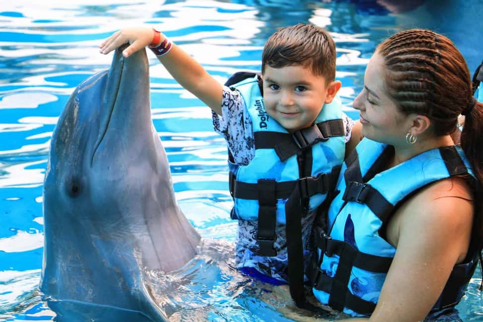 Punta Cana: Dolphin Interaction Experience & Hotel Transfers - Walking Into Dolphin Park Mode: What the Day Feels Like