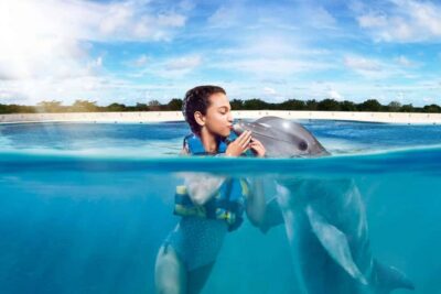 Punta Cana: Dolphin Interaction Experience & Hotel Transfers - Hotel Transfers: The Hidden Value of a Paid Pickup