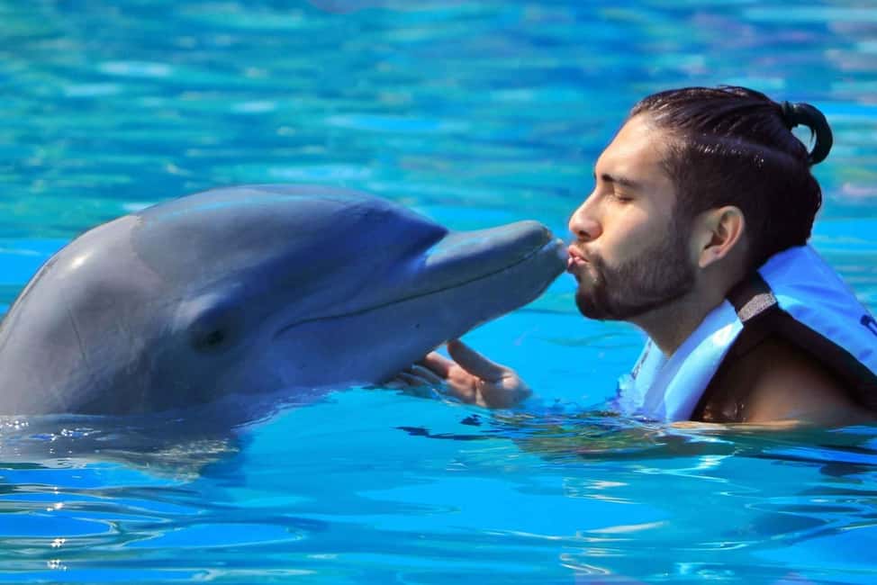 Punta Cana: Dolphin Interaction Experience & Hotel Transfers - Who This Tour Suits Best in Punta Cana