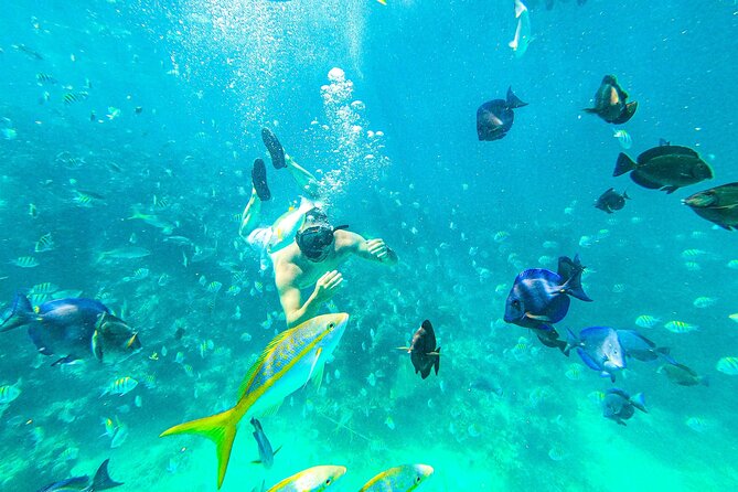 Punta Cana Exclusive Adults-Only Snorkel with Food and Drinks - Adults-Only Snorkel and Sailing in Cap Cana, Built for a Relaxed Half-Day