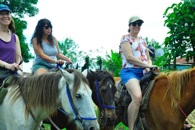 Punta Cana Half-Day Cultural Safari with Lunch and Drinks - Higüey Basilica: what makes the cathedral stop worth your time