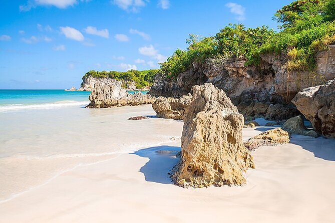 Punta Cana Half-Day Cultural Safari with Lunch and Drinks - Drinks during the excursion: what’s included and what to expect in practice