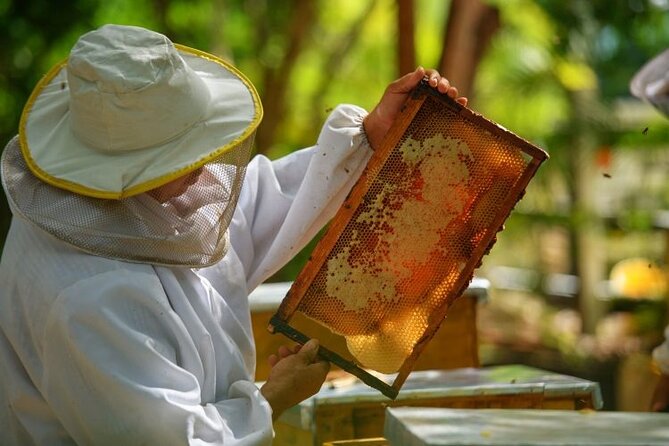 Punta Cana Lagoon Tour with Lunch, Boat Cruise, Open Bar - Argentine BBQ lunch: included, filling, and timed to keep the day moving