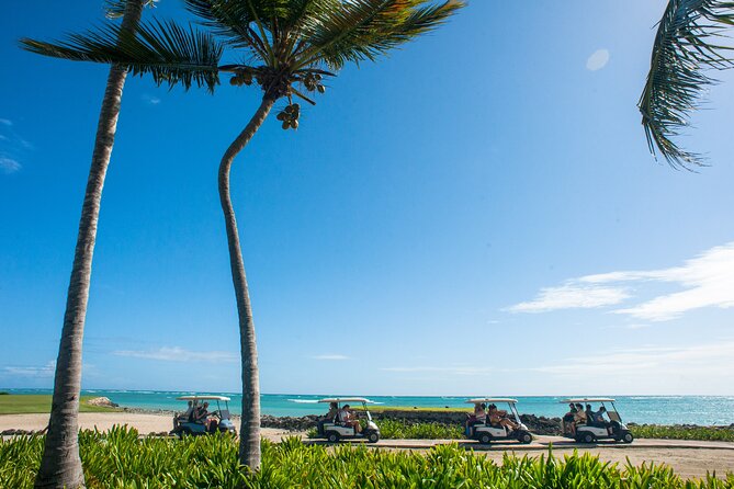 Punta Cana Lagoon Tour with Lunch, Boat Cruise, Open Bar - Pickup timing and total time: why your day might feel longer than 8 to 9 hours