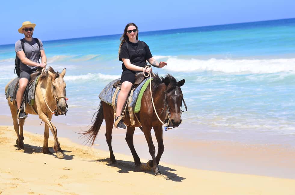 Punta Cana: Macao Beach & Forest Horseback Riding Tour - Key Things I Think You’ll Care About