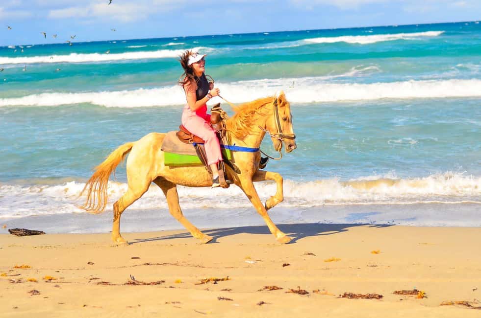 Punta Cana: Macao Beach & Forest Horseback Riding Tour - Who This Tour Fits Best (and Who Should Rethink It)