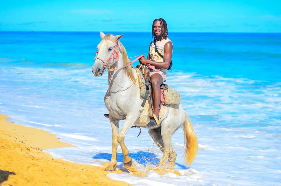 Punta Cana: Macao Beach & Forest Horseback Riding Tour - How the Forest Ride Works (Pace, Safety, and What You’ll Notice)