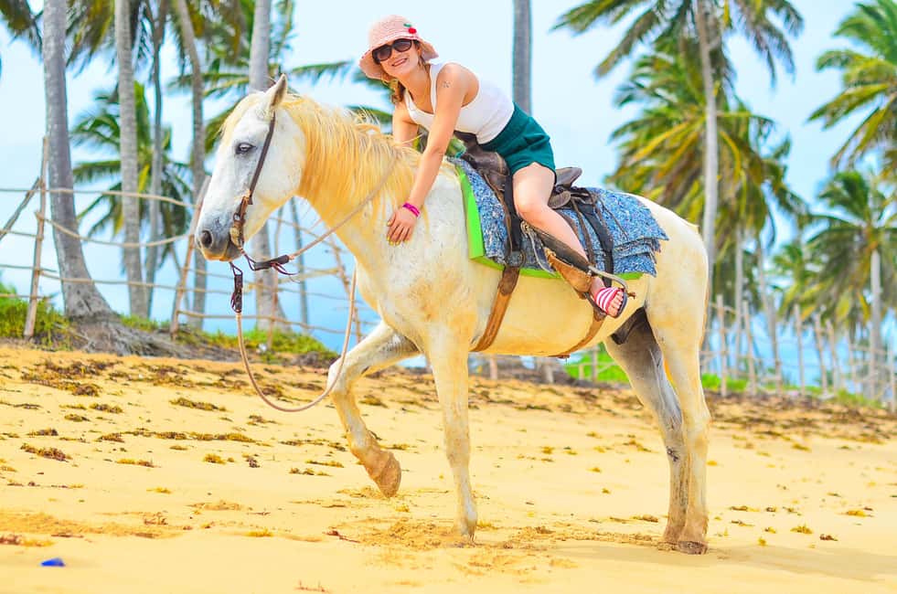Punta Cana: Macao Beach & Forest Horseback Riding Tour - Is $55 a Good Deal for This Punta Cana Horse Tour?