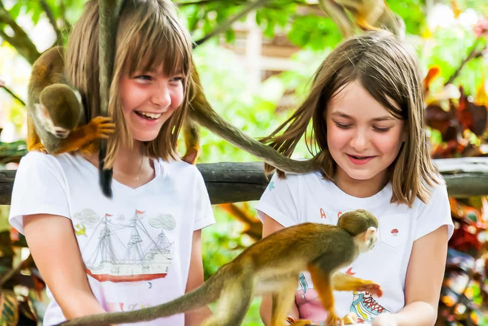 Punta Cana: Monkey Land Half-Day Safari and Plantation - Key things you should know before you go