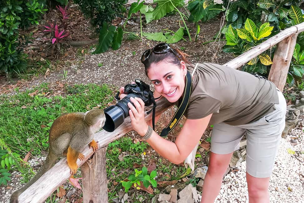 Punta Cana: Monkey Land Half-Day Safari and Plantation - Monkeyland squirrel monkeys: close, calm, and very camera-friendly
