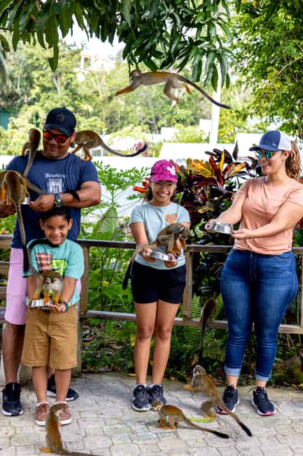 Punta Cana: Monkey Land Half-Day Safari and Plantation - Who should book this tour, and who should skip it