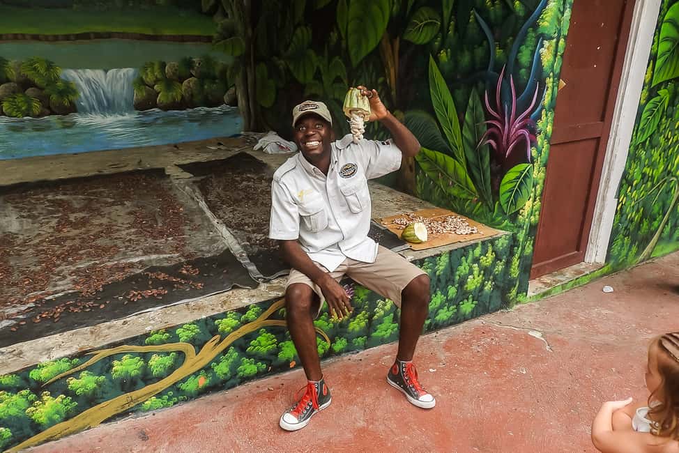 Punta Cana: Monkey Land Half-Day Safari and Plantation - Should you book Punta Cana Monkey Land and the Plantation?