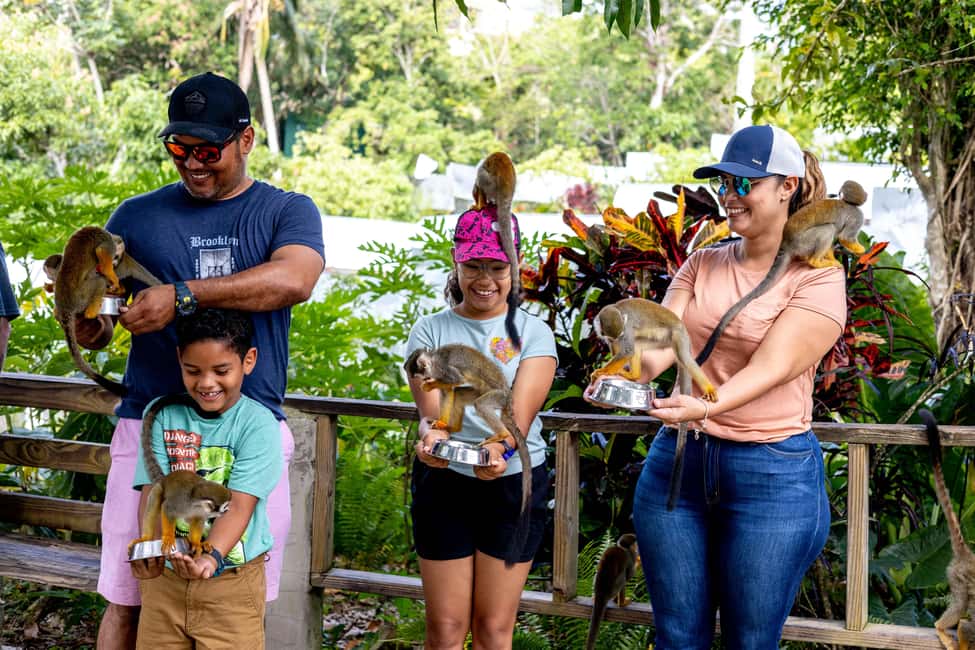 Punta Cana: Monkey Land Half-Day Safari and Plantation - Casa del Coco: coconut oil and fruit tastings in a real Dominican setting