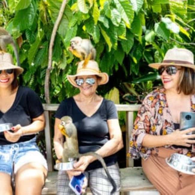 Punta Cana: Monkey Sanctuary Half-Day Tour - Key Points You Should Know Before You Go