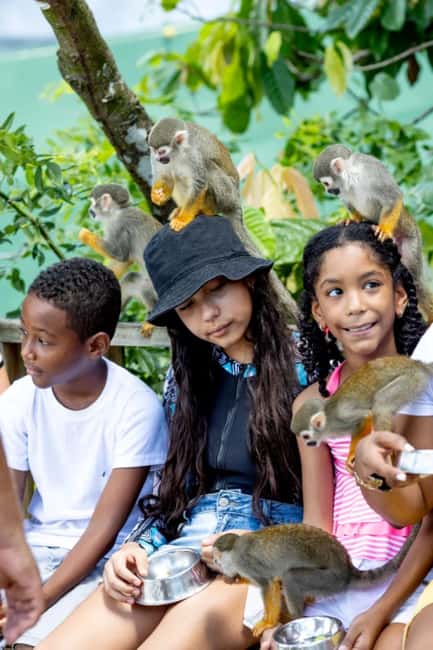 Punta Cana: Monkey Sanctuary Half-Day Tour - Punta Cana to Bonao: The Safari-Style Drive and Mountain Views