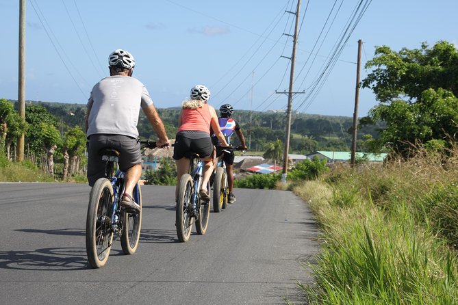 Punta Cana Mountain E-Bike Tour - The mid-tour farm stop: learning coffee, cocoa, and more the practical way