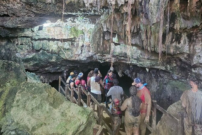 Punta Cana Off-Road Buggy Tour Macao Beach and Cave Experience - Stop 4: Macao Beach With Limestone Cliffs for the Final Stretch