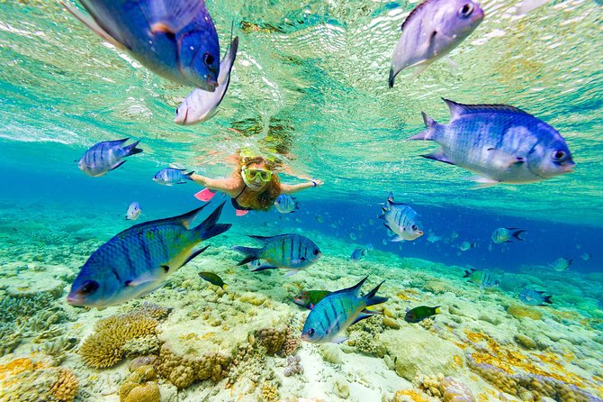 Punta Cana Parasailing & Snorkeling Cruise Experience - Punta Cana Parasailing From Bavaro Beach: What the 500-Foot Flight Feels Like