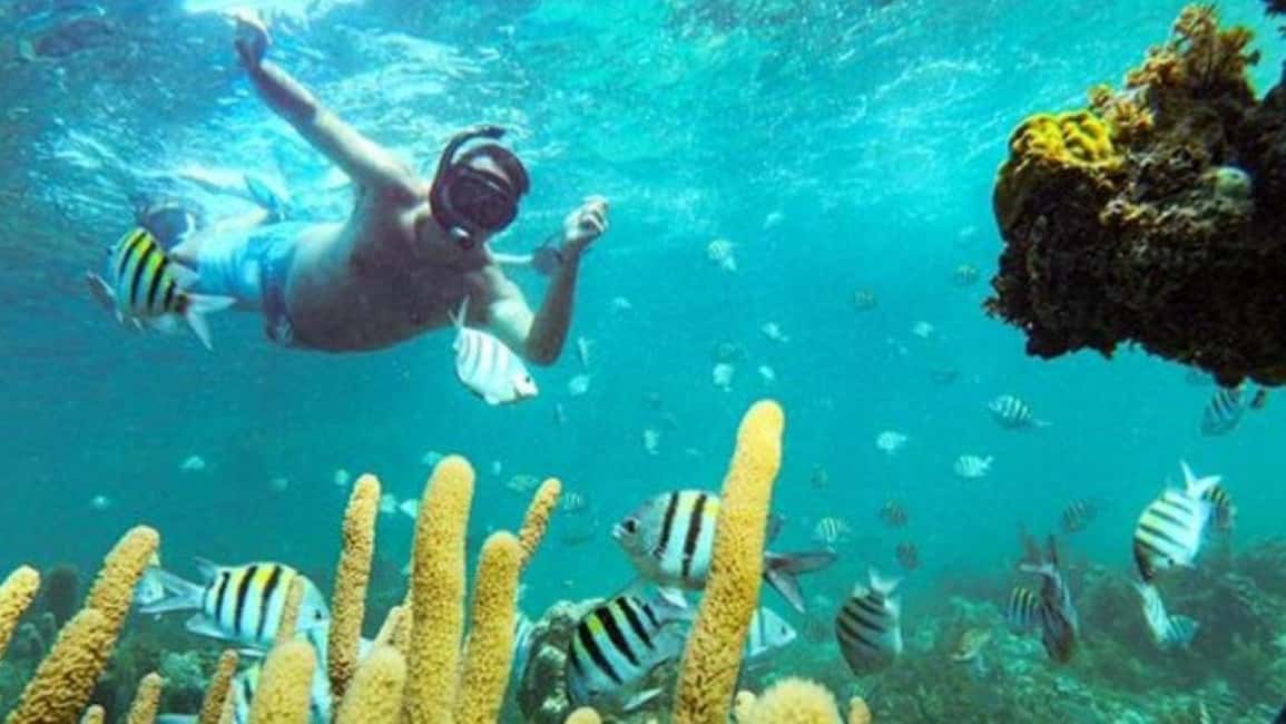 Punta Cana: Party Boat and Snorkeling Adventure - The 30-minute snorkeling slot on the coral reefs