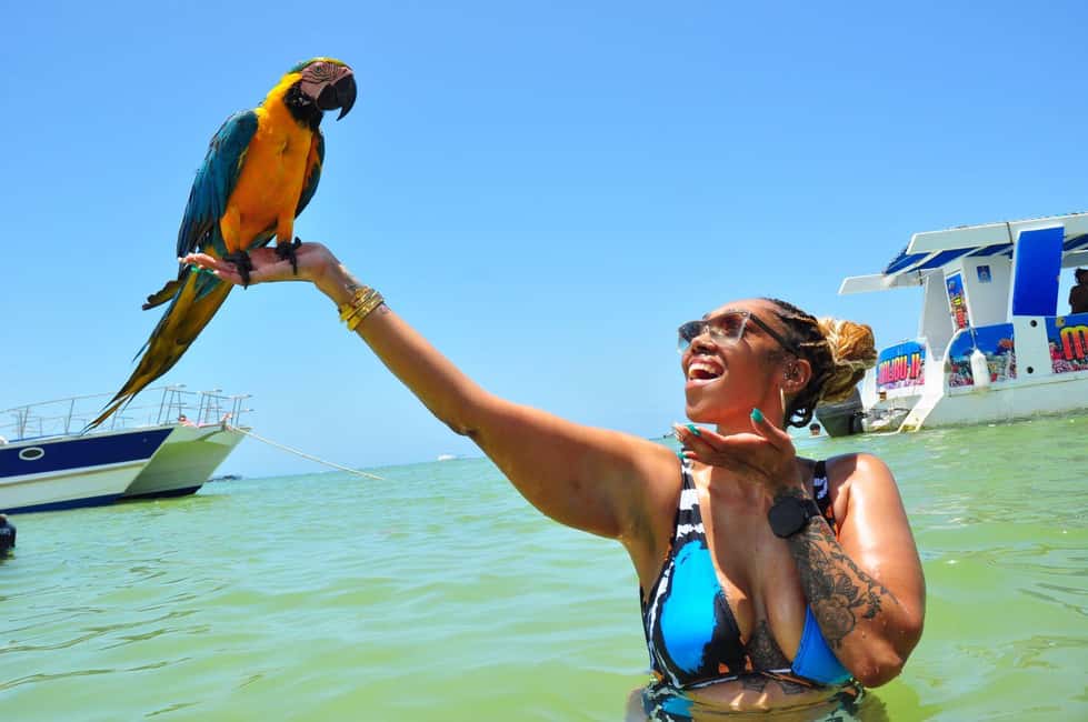 Punta Cana: Party Boat with Snorkeling, Open Bar And Hip Hop - Dolphin Island Viewing: Quick but Built Into the Route