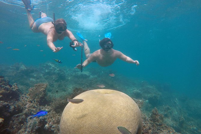 Punta Cana Private Cruise Up To 10 Snorkeling & Seafood lunch - Key things I’d circle before you go