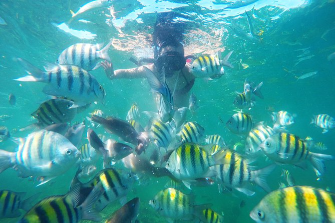 Punta Cana Private Cruise Up To 10 Snorkeling & Seafood lunch - Pickup, timing, and keeping the day calm (not chaotic)