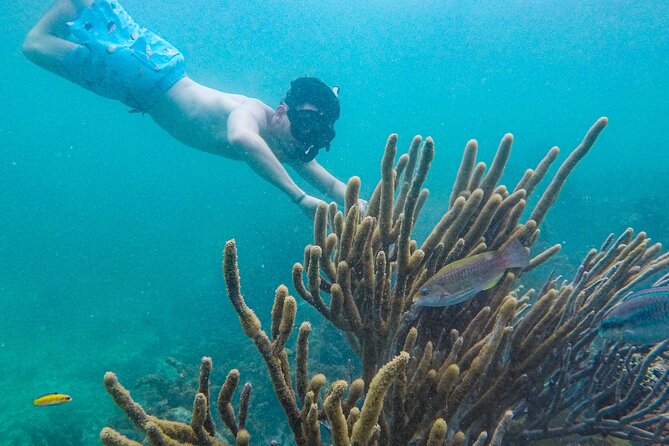 Punta Cana Private Cruise Up To 10 Snorkeling & Seafood lunch - Natural pools on the way back: shallow water fun with reef structure