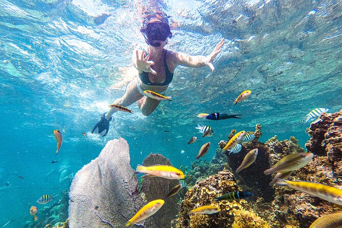 Punta Cana Private Cruise Up To 10 Snorkeling & Seafood lunch - Heading toward Cape Engano: the cruise portion is part of the payoff