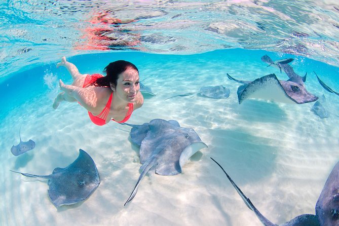 Punta Cana Private Virgen Beach Small & Big Group Snorkel Cruise - What to watch for: timing changes, return transport questions, and belongings