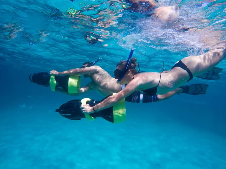 Punta Cana: Reef Explorer Access w/ Sharks & Stingrays Swim - Who should book this Punta Cana sharks and rays tour