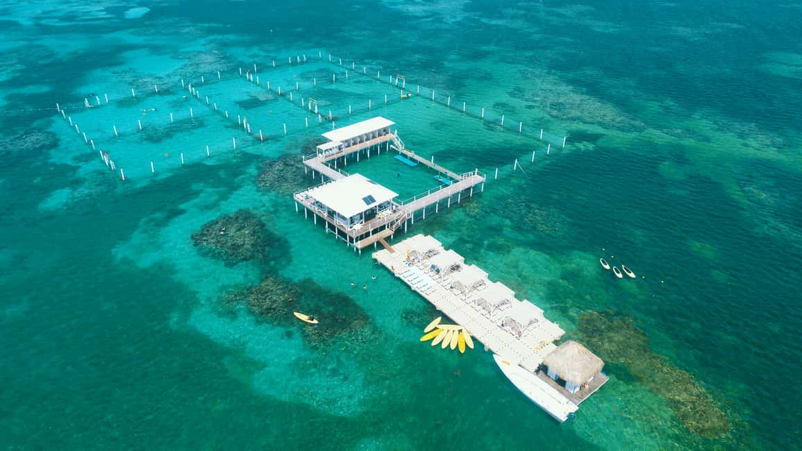 Punta Cana: Reef Explorer Access w/ Sharks & Stingrays Swim - The floating island setup: where relaxation and activities share space