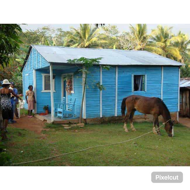 Punta Cana: Samaná Cayo Levantado & El Limón Waterfall Tour - Price and Value: Is $99 a Fair Deal?