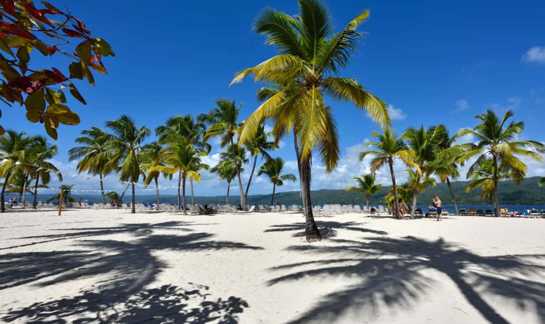 Punta Cana: Samaná Cayo Levantado & El Limón Waterfall Tour - Who This Tour Fits Best (and Who Might Want Another Option)