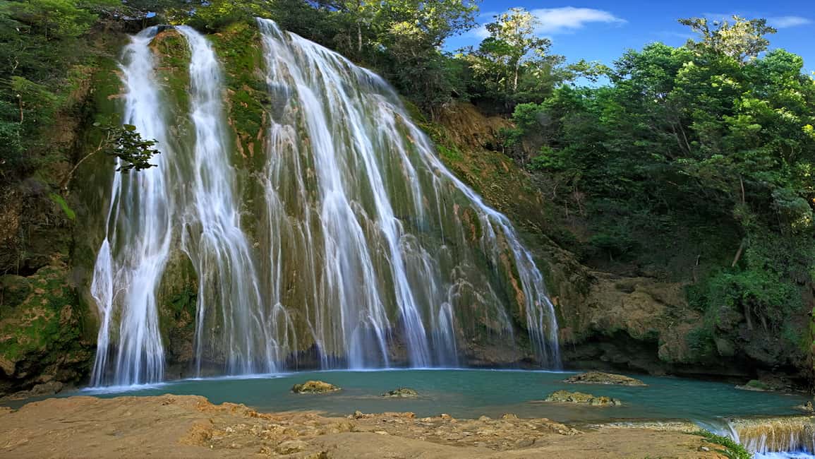 Punta Cana: Samaná Whale Watching, Bacardi & Limon Falls - Key Things to Know Before You Go