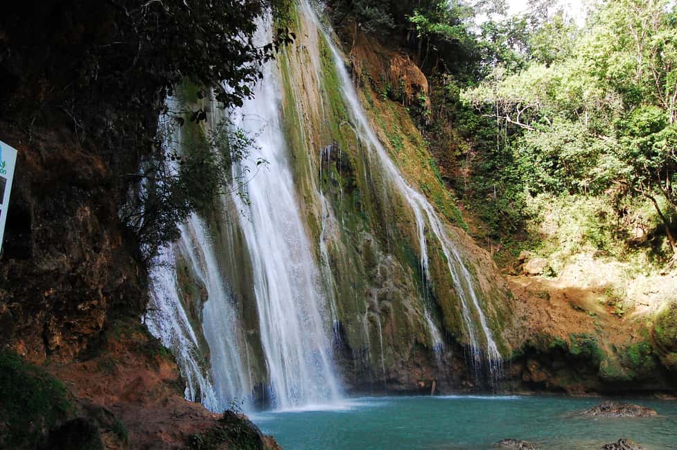 Punta Cana: Samaná Whale Watching, Bacardi & Limon Falls - The Dominican lunch stop: solid fuel, but expect timing