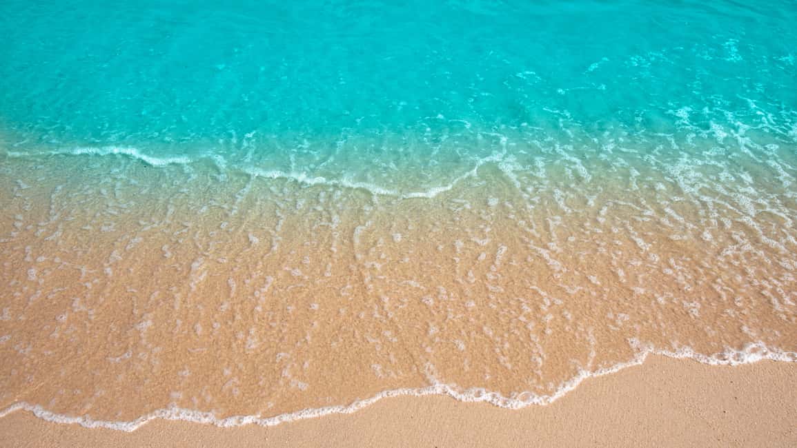 Punta Cana: Saona Island Catamaran Tour with Food & Open Bar - Food and open bar: included comfort, plus a few timing tips