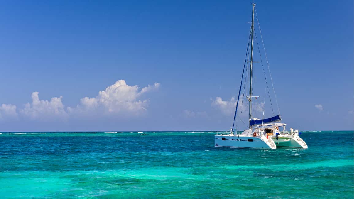 Punta Cana: Saona Island Catamaran Tour with Food & Open Bar - Who this tour is best for (and who should skip it)