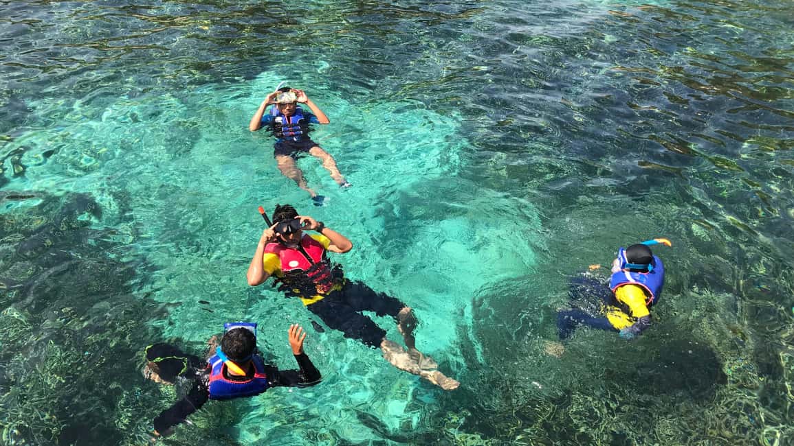 Punta Cana: Saona Island Catamaran Tour with Food & Open Bar - The vibe on the day: guides, music, and group flow