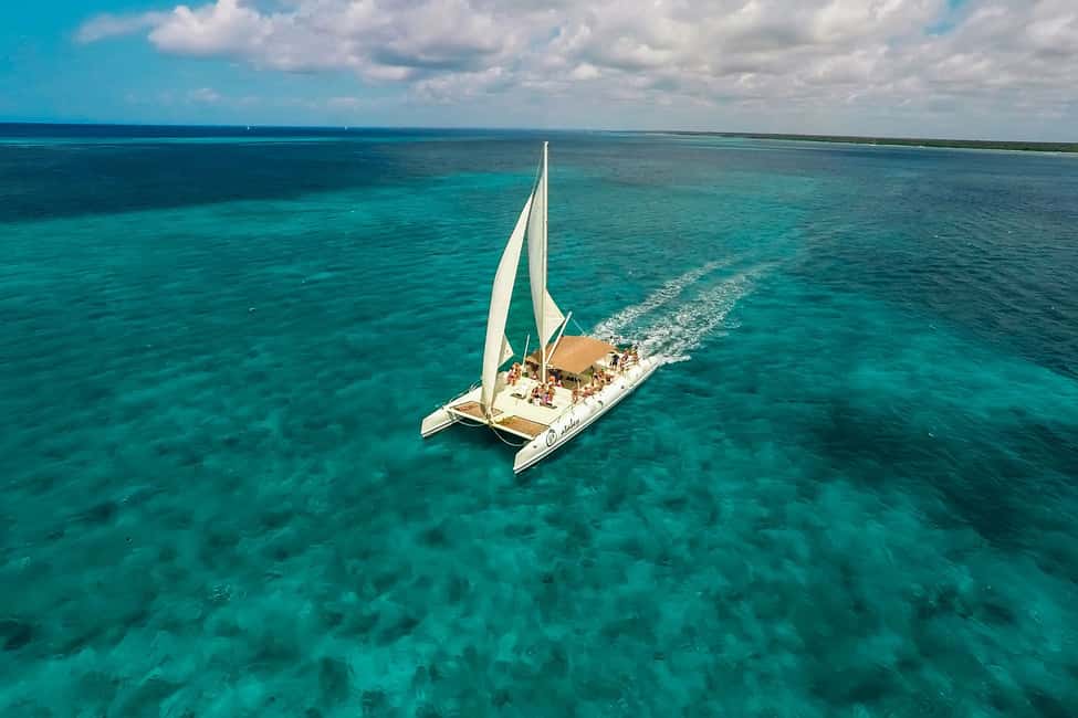 Punta Cana: Saona Island Full-Day All-Inclusive Boat Tour - The big picture: what this 8–10 hour Saona day really feels like