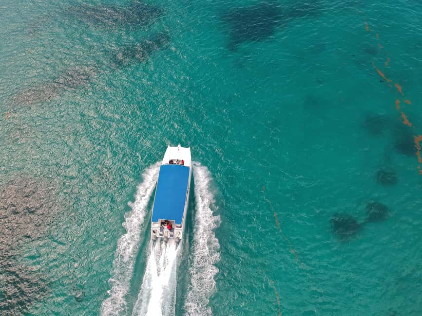 Punta Cana: Saona Island Full-Day All-Inclusive Boat Tour - Guides and communication: when safety and clarity matter